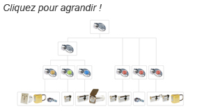 organigramme