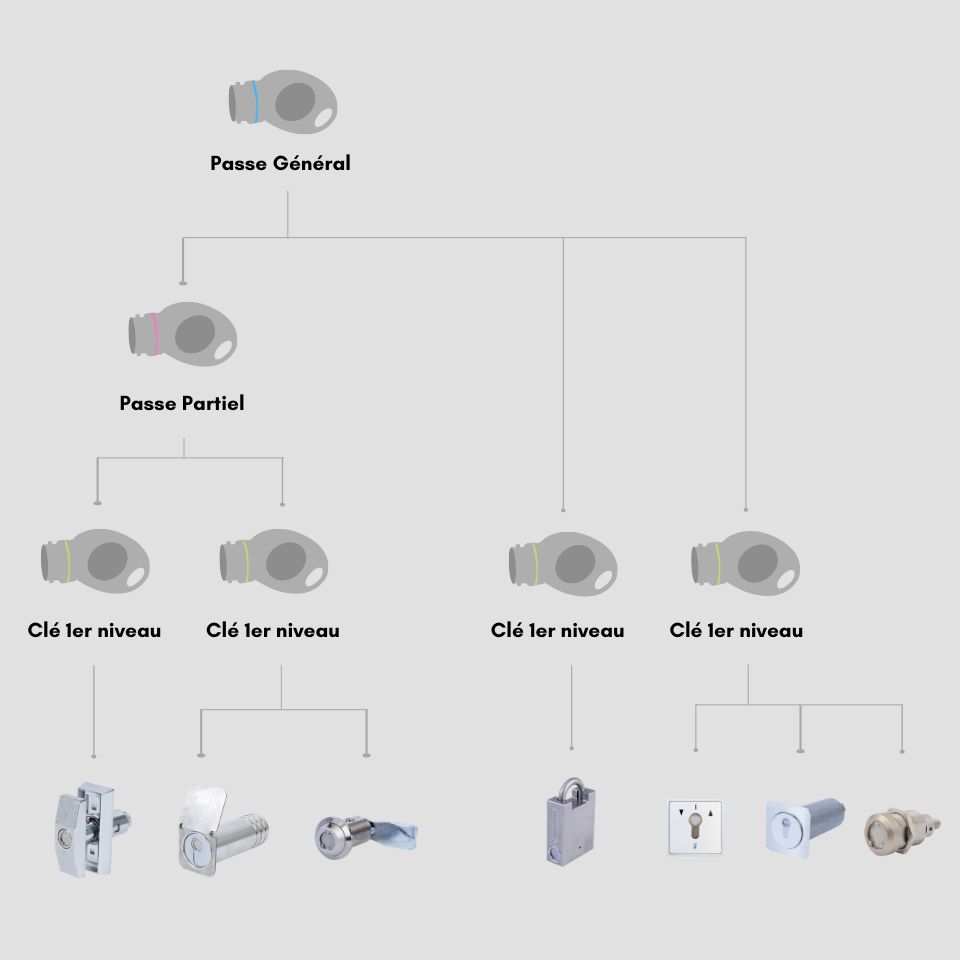 Organizational chart of keys